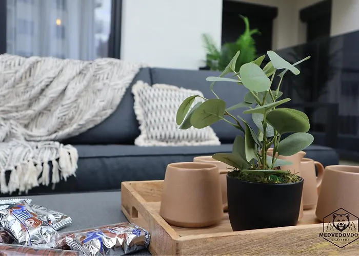 Medvedov Dom Sa Velikom Terasom 34m2 Apartman Zlatibor